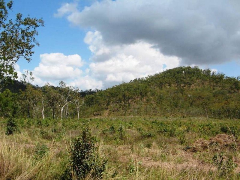 LOT 25 HAYMAN DRIVE, Bloomsbury QLD 4799