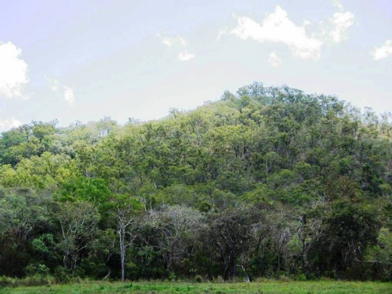 LOT 25 HAYMAN DRIVE, Bloomsbury QLD 4799