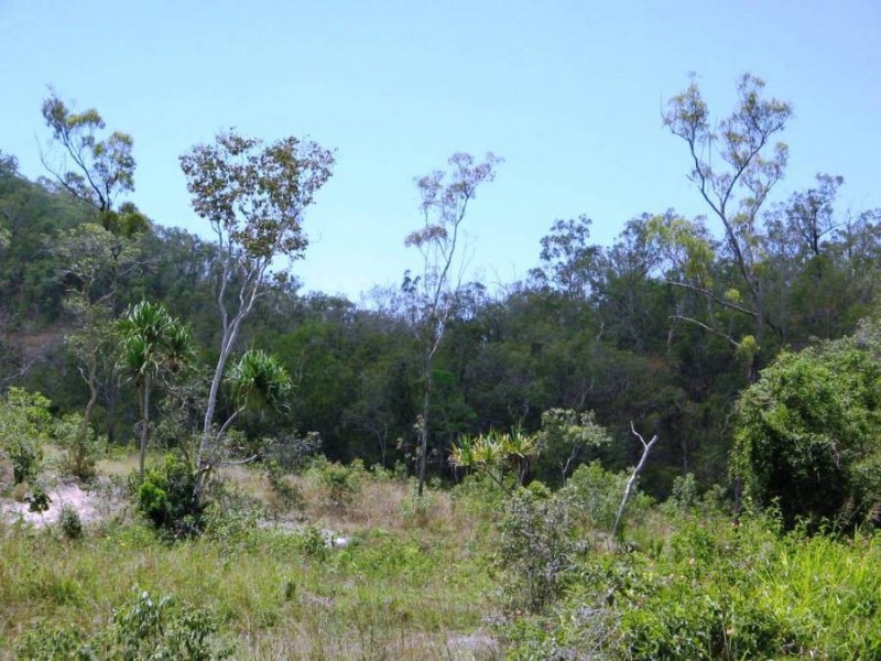 LOT 28 LINDEMAN DRIVE, Bloomsbury QLD 4799