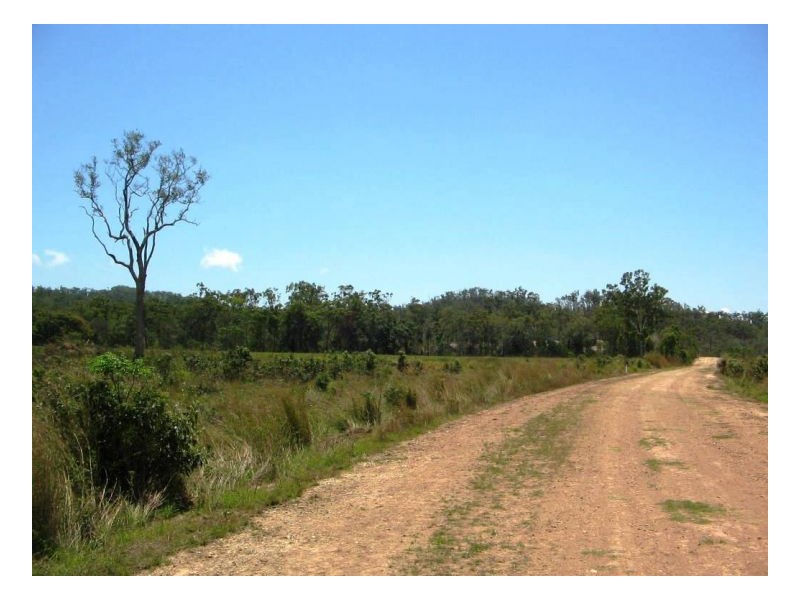 LOT 33 LINDEMAN DRIVE, Bloomsbury QLD 4799