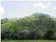 LOT 33 LINDEMAN DRIVE, Bloomsbury QLD 4799