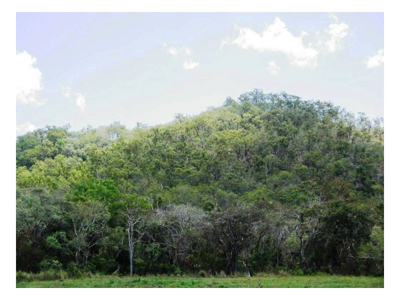 LOT 33 LINDEMAN DRIVE, Bloomsbury QLD 4799