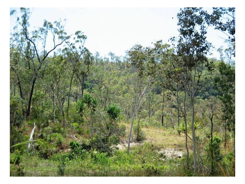 LOT 33 LINDEMAN DRIVE, Bloomsbury QLD 4799