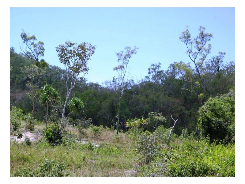 LOT 33 LINDEMAN DRIVE, Bloomsbury QLD 4799