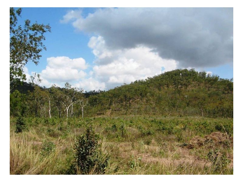 LOT 33 LINDEMAN DRIVE, Bloomsbury QLD 4799