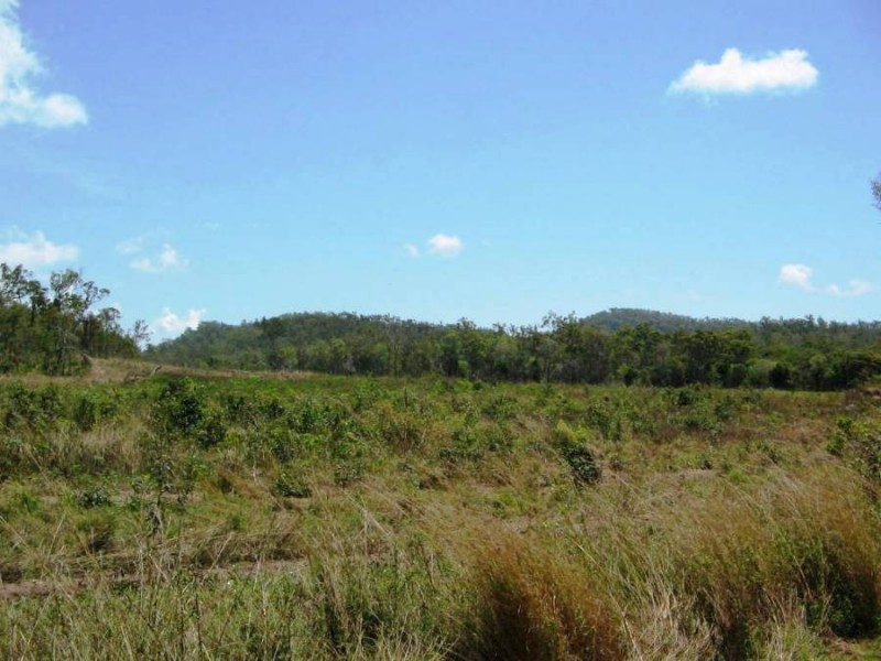 LOT 36 LINDEMAN DR, Bloomsbury QLD 4799