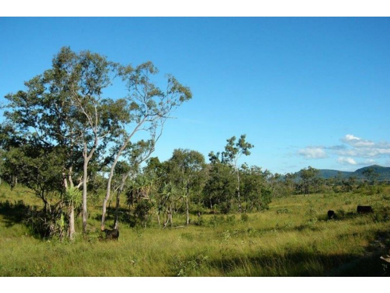 LOT 24 HAYMAN DRIVE, Bloomsbury QLD 4799