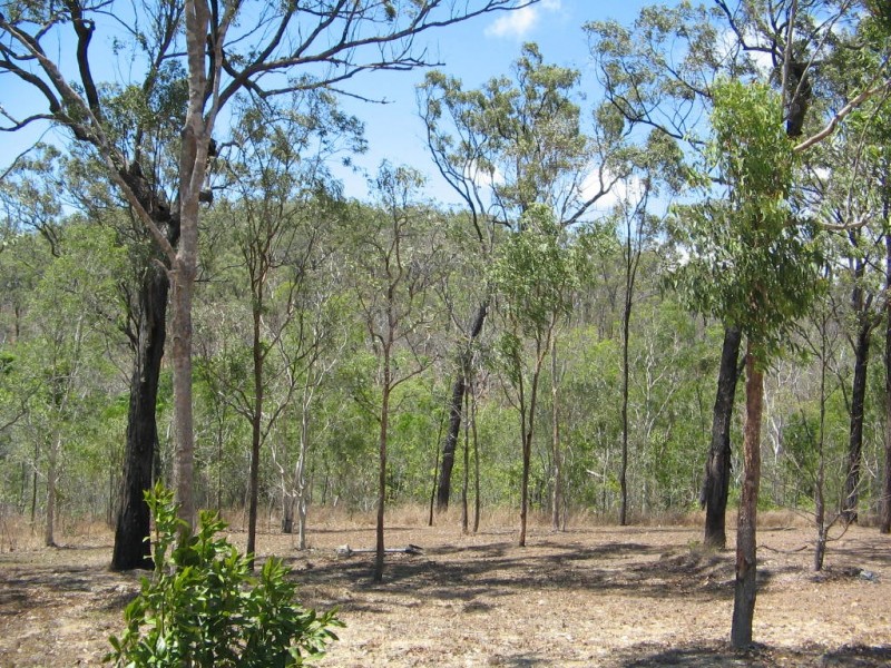 36 CARLISLE CRESCENT BLOOMSBURY, Midge Point QLD 4799