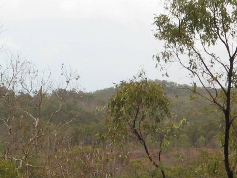 LOT 79 LINDEMAN DRIVE, Bloomsbury QLD 4799