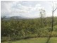 LOT 16 MIDGE POINT ROAD BLOOMSBURY4799, Whitsundays QLD 4802