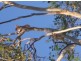 LOT 16 MIDGE POINT ROAD BLOOMSBURY4799, Whitsundays QLD 4802