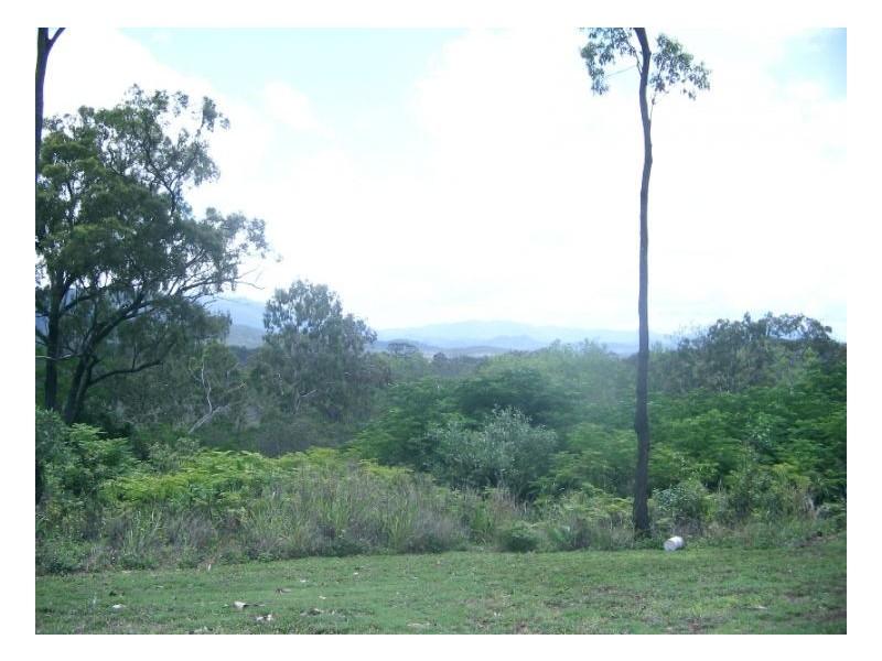 267 MIDGE POINT ROAD, Bloomsbury QLD 4799