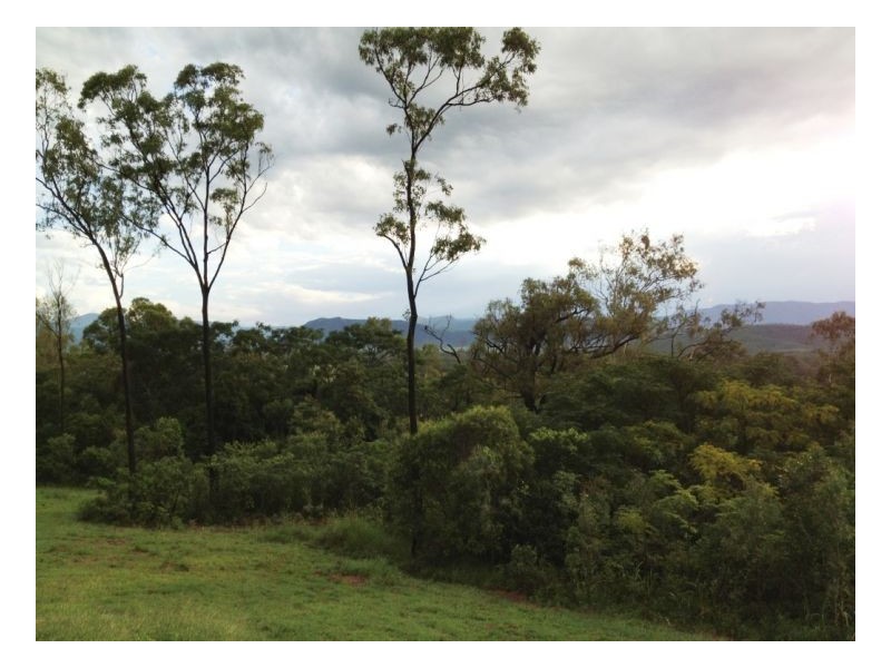 267 MIDGE POINT ROAD, Bloomsbury QLD 4799
