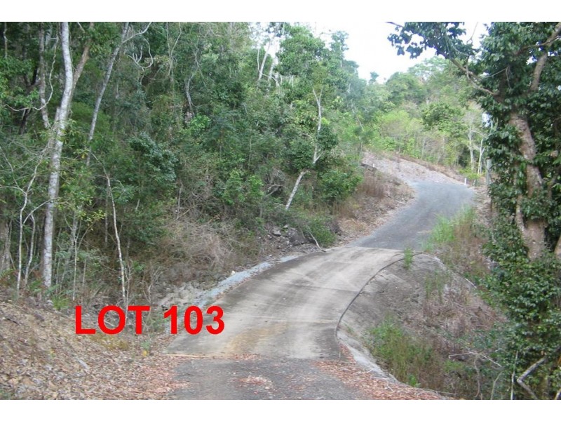 LOT 103 MOODYS ROAD, Strathdickie QLD 4800