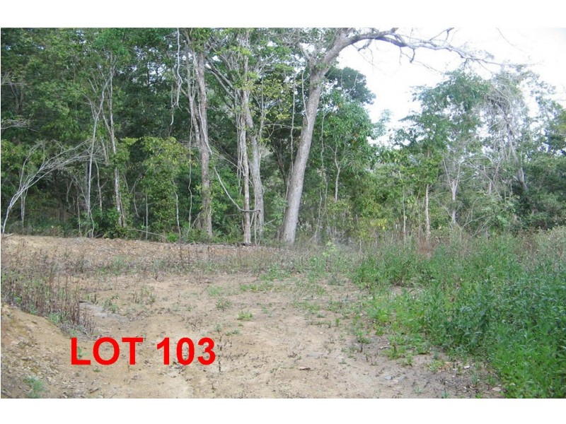 LOT 103 MOODYS ROAD, Strathdickie QLD 4800
