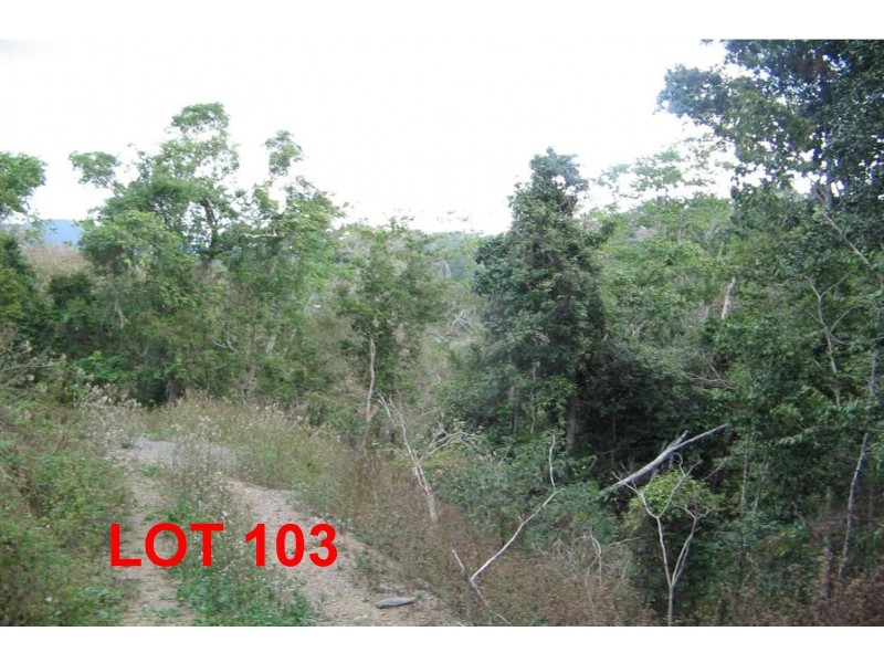 LOT 103 MOODYS ROAD, Strathdickie QLD 4800