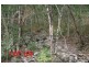 LOT 103 MOODYS ROAD, Strathdickie QLD 4800