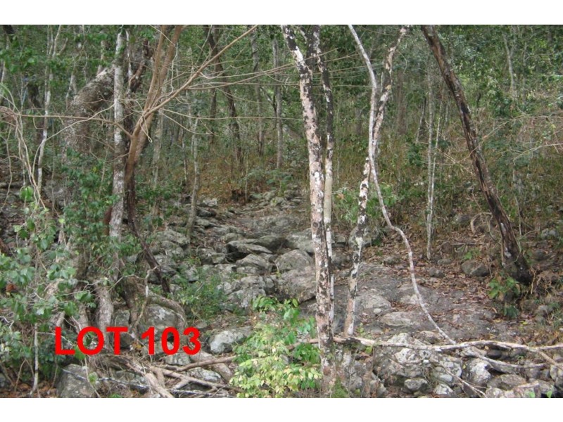 LOT 103 MOODYS ROAD, Strathdickie QLD 4800
