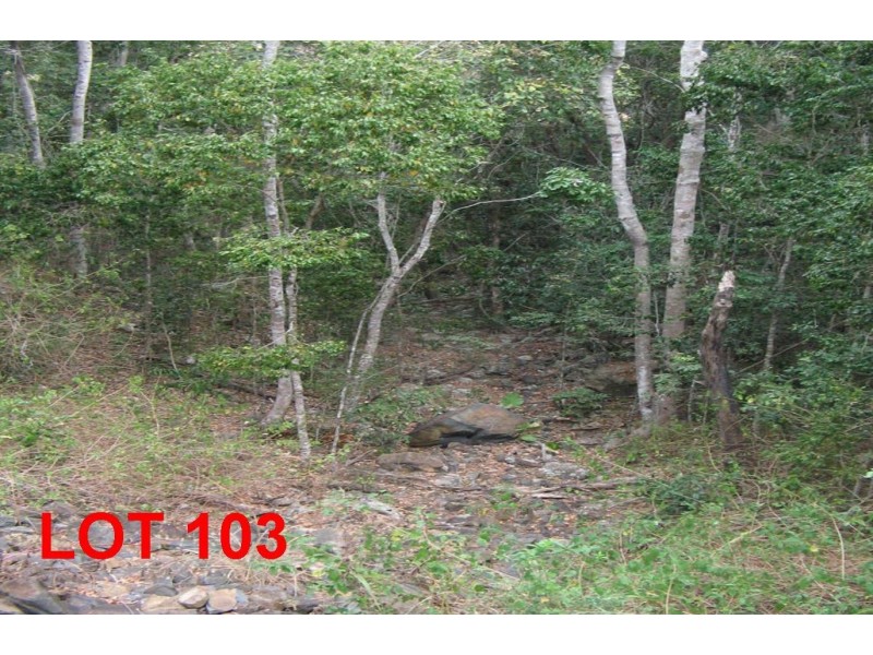LOT 103 MOODYS ROAD, Strathdickie QLD 4800