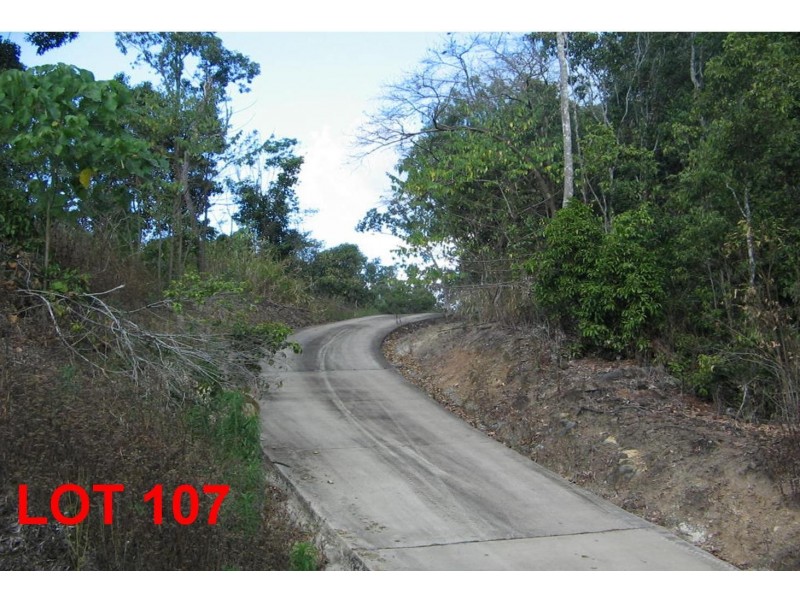 LOT 107 MOODYS ROAD, Strathdickie QLD 4800