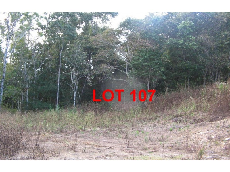 LOT 107 MOODYS ROAD, Strathdickie QLD 4800