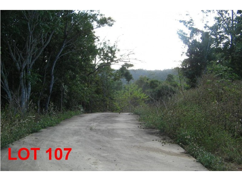 LOT 107 MOODYS ROAD, Strathdickie QLD 4800