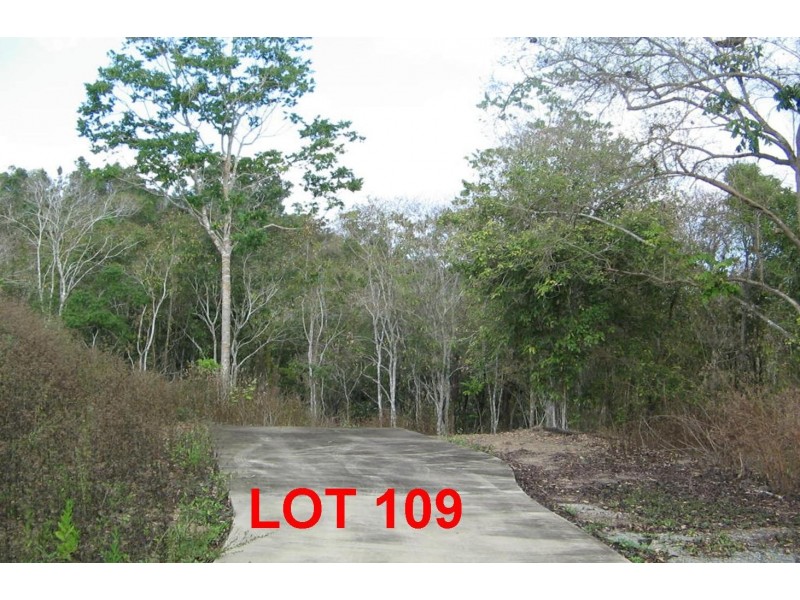LOT 109  MOODYS ROAD, Strathdickie QLD 4800