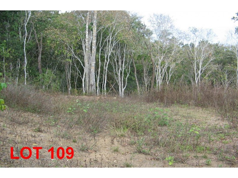 LOT 109  MOODYS ROAD, Strathdickie QLD 4800