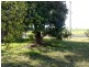 Calen QLD 4798