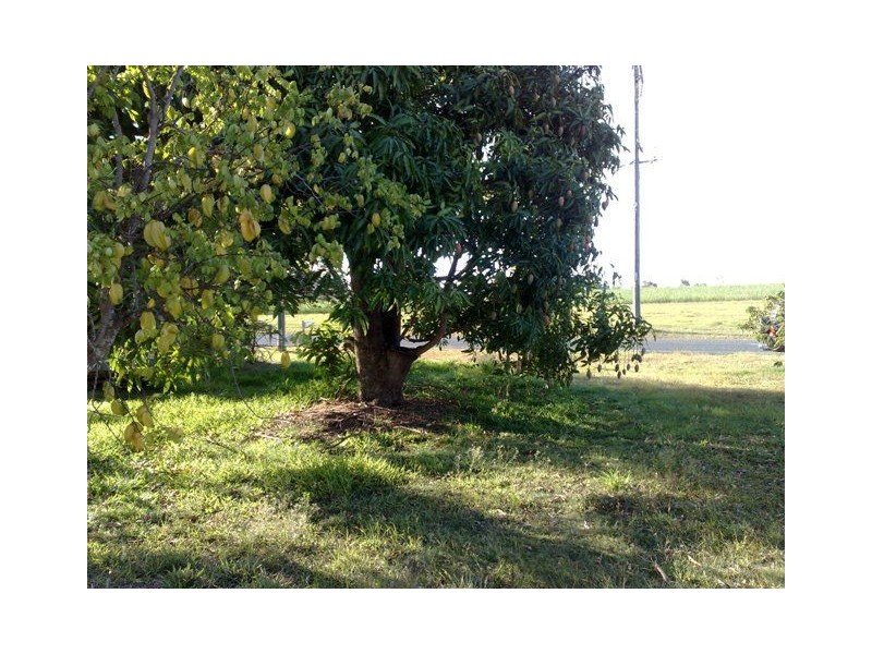 Calen QLD 4798