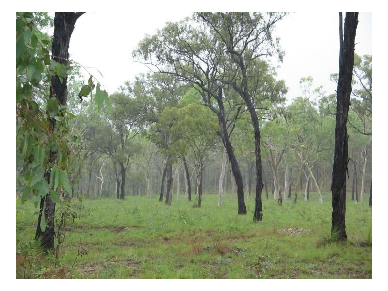 LOT 9 O’FLYNN CRESCENT, Midge Point QLD 4799