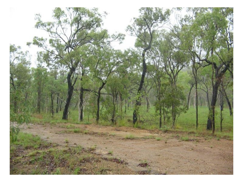 LOT 9 O’FLYNN CRESCENT, Midge Point QLD 4799
