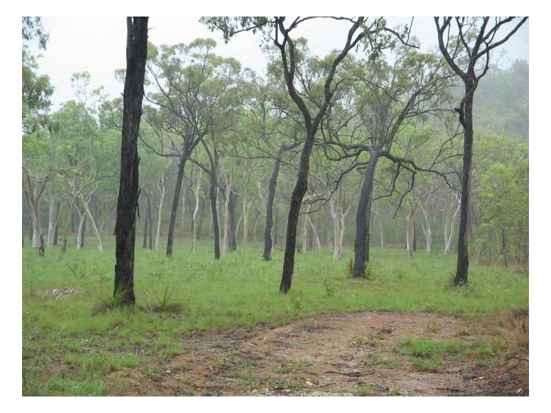 LOT 9 O’FLYNN CRESCENT, Midge Point QLD 4799