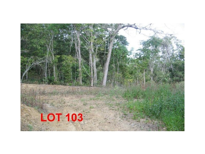 LOT 103 MOODYS ROAD, Strathdickie QLD 4800