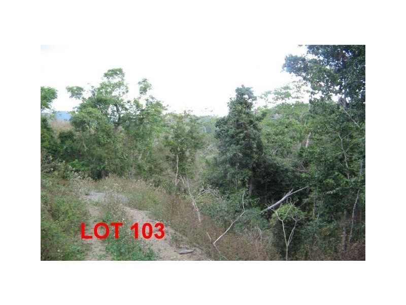 LOT 103 MOODYS ROAD, Strathdickie QLD 4800