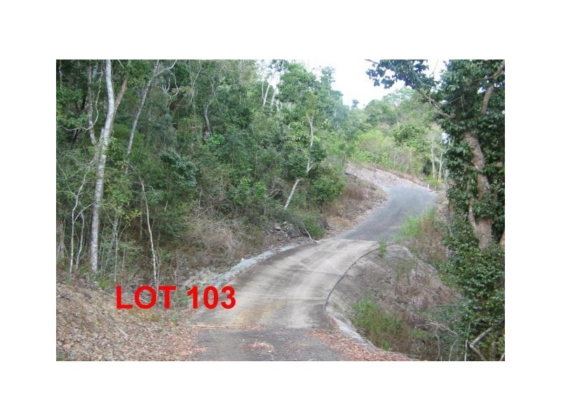 LOT 103 MOODYS ROAD, Strathdickie QLD 4800
