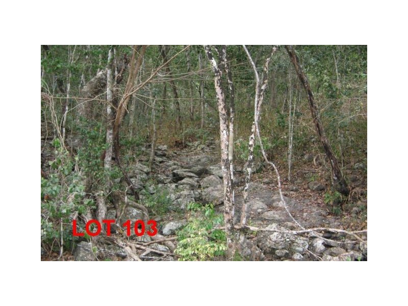 LOT 103 MOODYS ROAD, Strathdickie QLD 4800