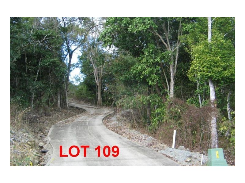 LOT 109  MOODYS ROAD, Strathdickie QLD 4800