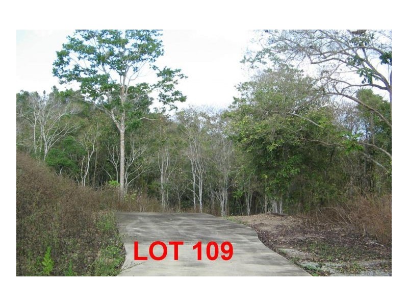 LOT 109  MOODYS ROAD, Strathdickie QLD 4800