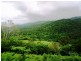 LOT 119 SALT WATER CREEK ROAD CONWAY, Whitsundays QLD 4802