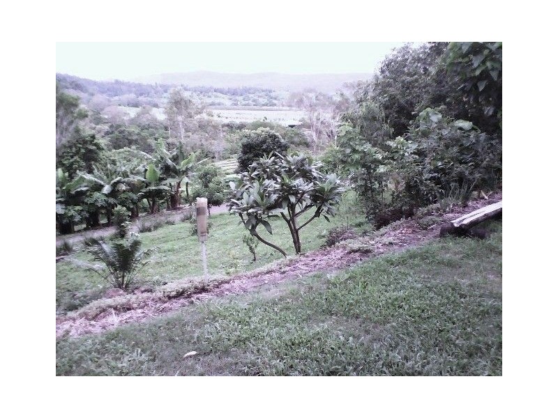 LOT 119 SALT WATER CREEK ROAD CONWAY, Whitsundays QLD 4802