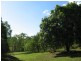 33 ASHTON ROAD GREGORY RIVER, Whitsundays QLD 4802