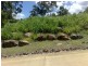 LOT 45  BOTANICA DRIVE WOODWARK, Whitsundays QLD 4802