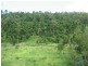 41 ESHELBY DRIVE, Cannonvale QLD 4802