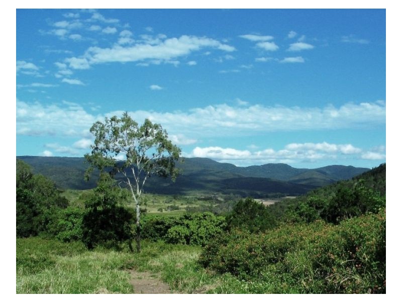 635 SALTWATER CREEK ROAD CONWAY, Palm Grove QLD 4800