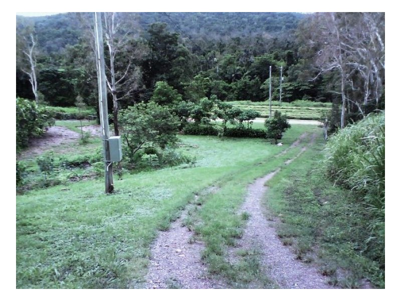 635 SALTWATER CREEK ROAD CONWAY, Palm Grove QLD 4800