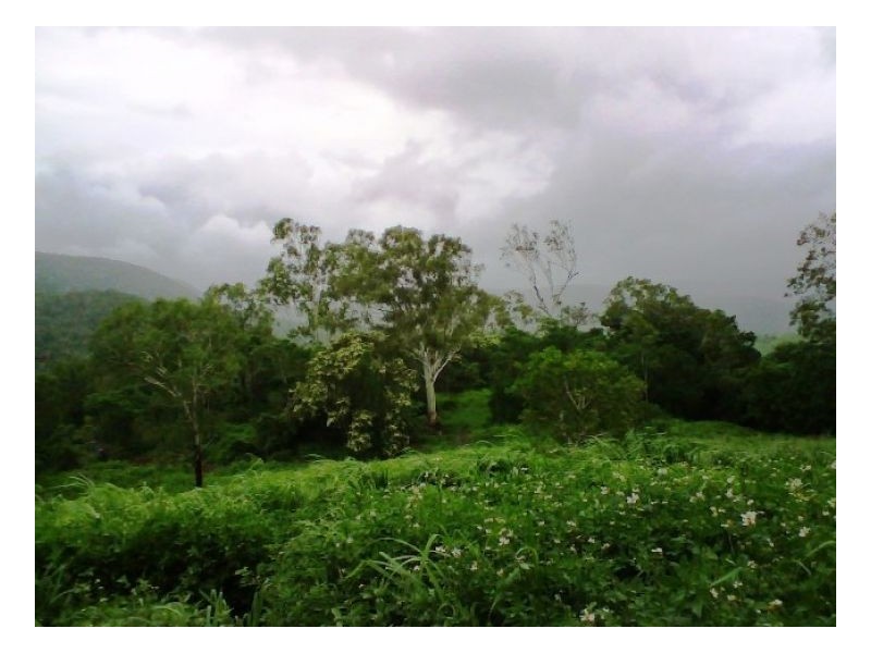 635 SALTWATER CREEK ROAD CONWAY, Palm Grove QLD 4800