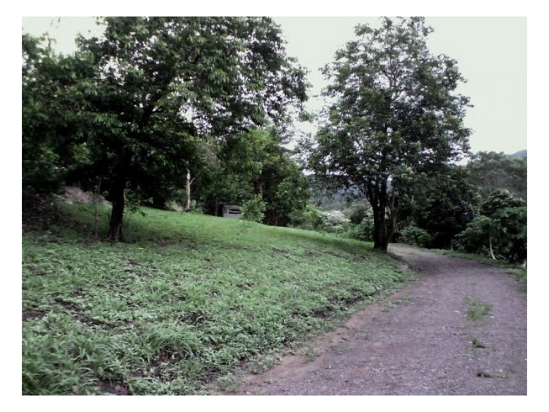 635 SALTWATER CREEK ROAD CONWAY, Palm Grove QLD 4800