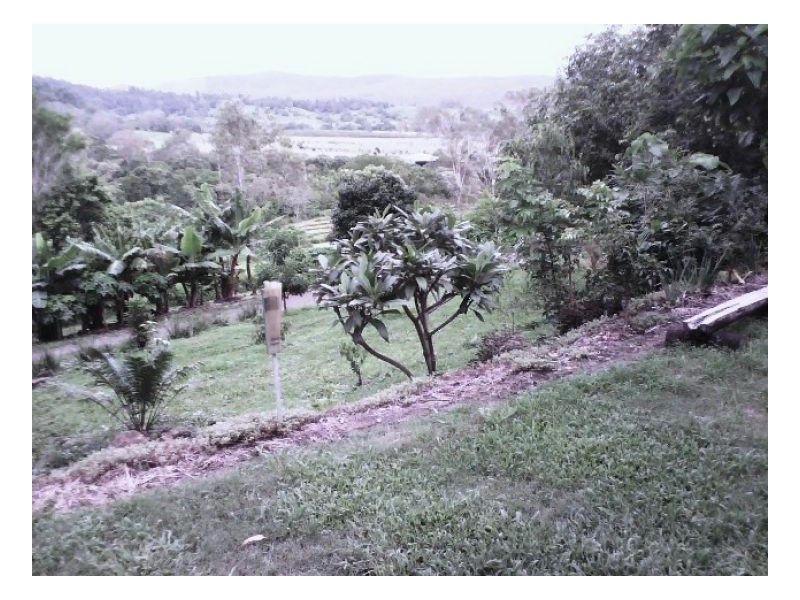 635 SALTWATER CREEK ROAD CONWAY, Palm Grove QLD 4800