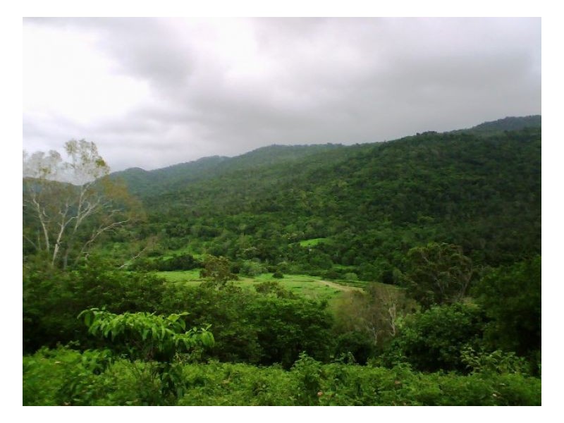 635 SALTWATER CREEK ROAD CONWAY, Palm Grove QLD 4800